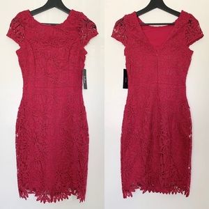 Lulus Magenta Lace Bodycon Dress